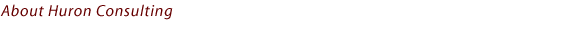 About Huron Consulting and Zvi Flanders